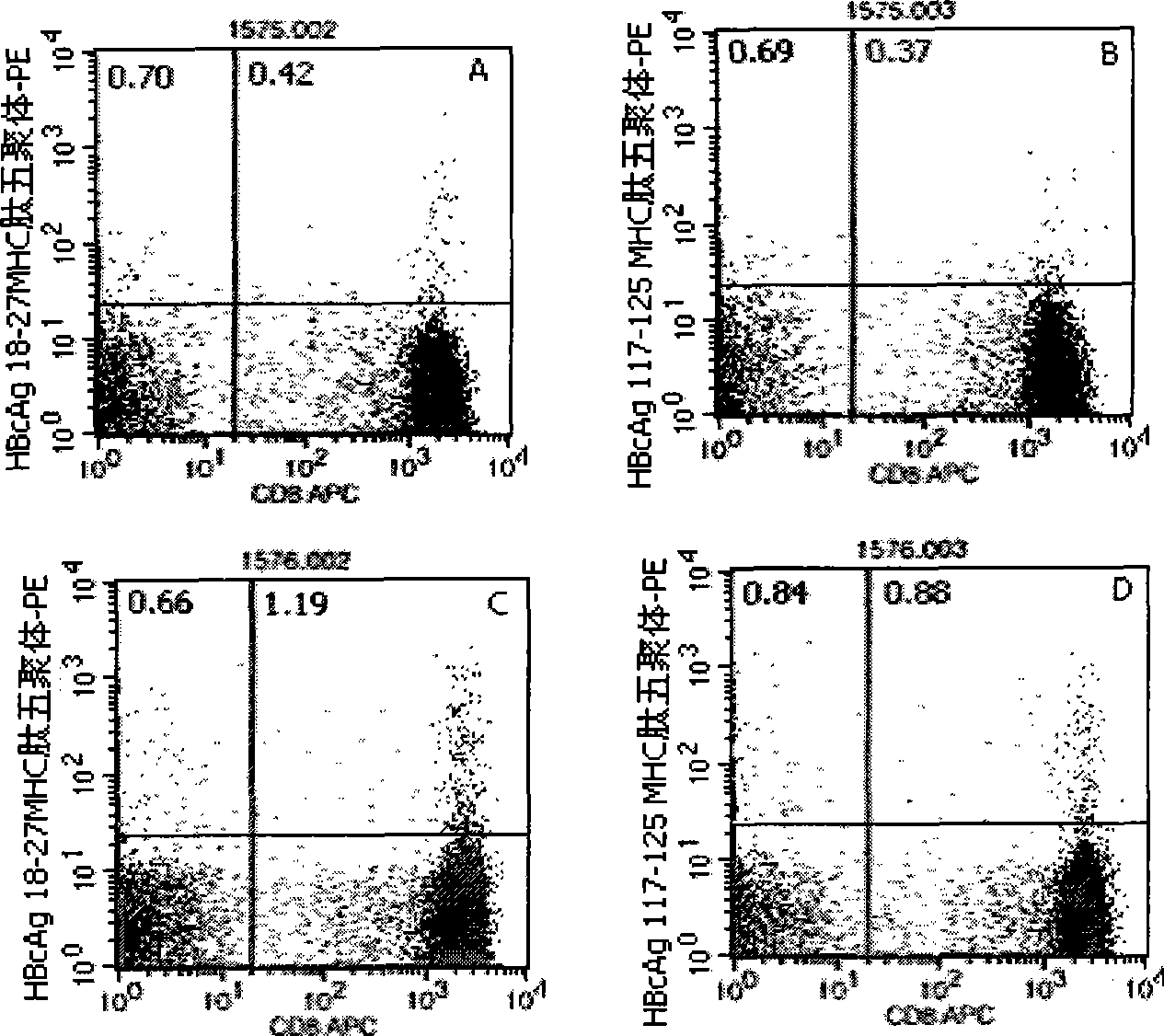 Quantitative determination method for hepatitis b virus specificity cell toxicity T lymphocyte