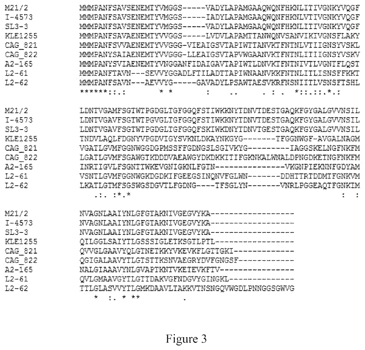 Anti-inflammatory peptides and methods for treating inflammatory diseases