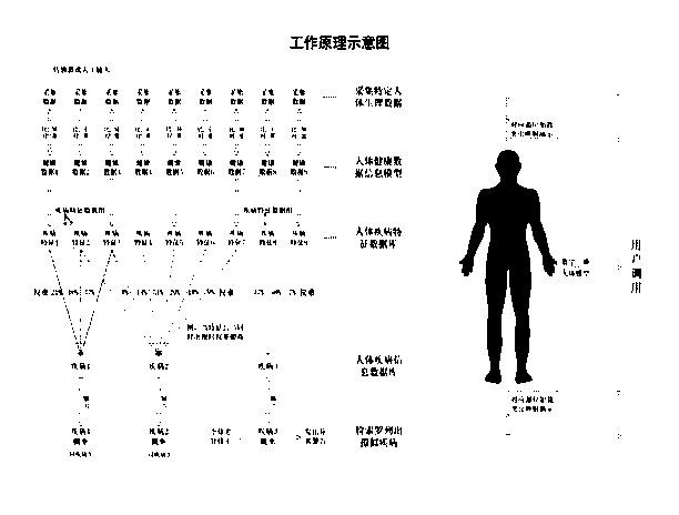 Autonomous human disease diagnosis model, artificial intelligence physical examination method and system, health assessment ocular demonstration method