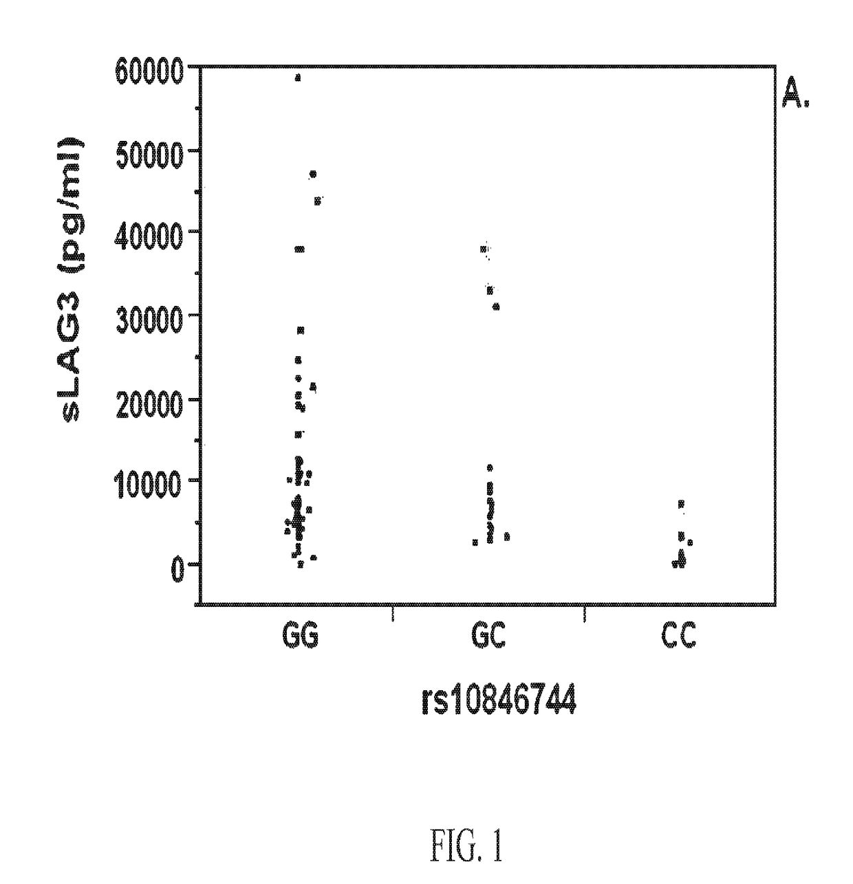 Use of recombinant lymphocyte activation gene-3 as a companion therapeutic for patients at risk for cardiovascular disease and other chronic inflammatory diseases