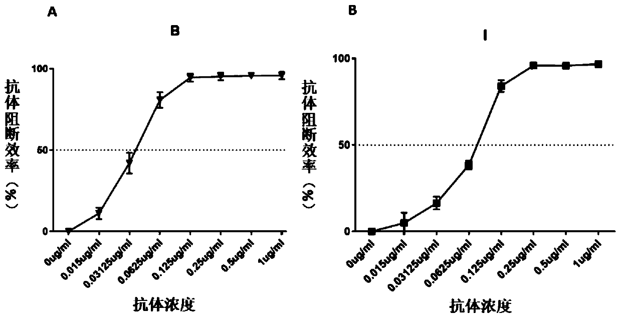Method for evaluating blocking activity of immune checkpoint molecular blocking antibody by magnetic beads