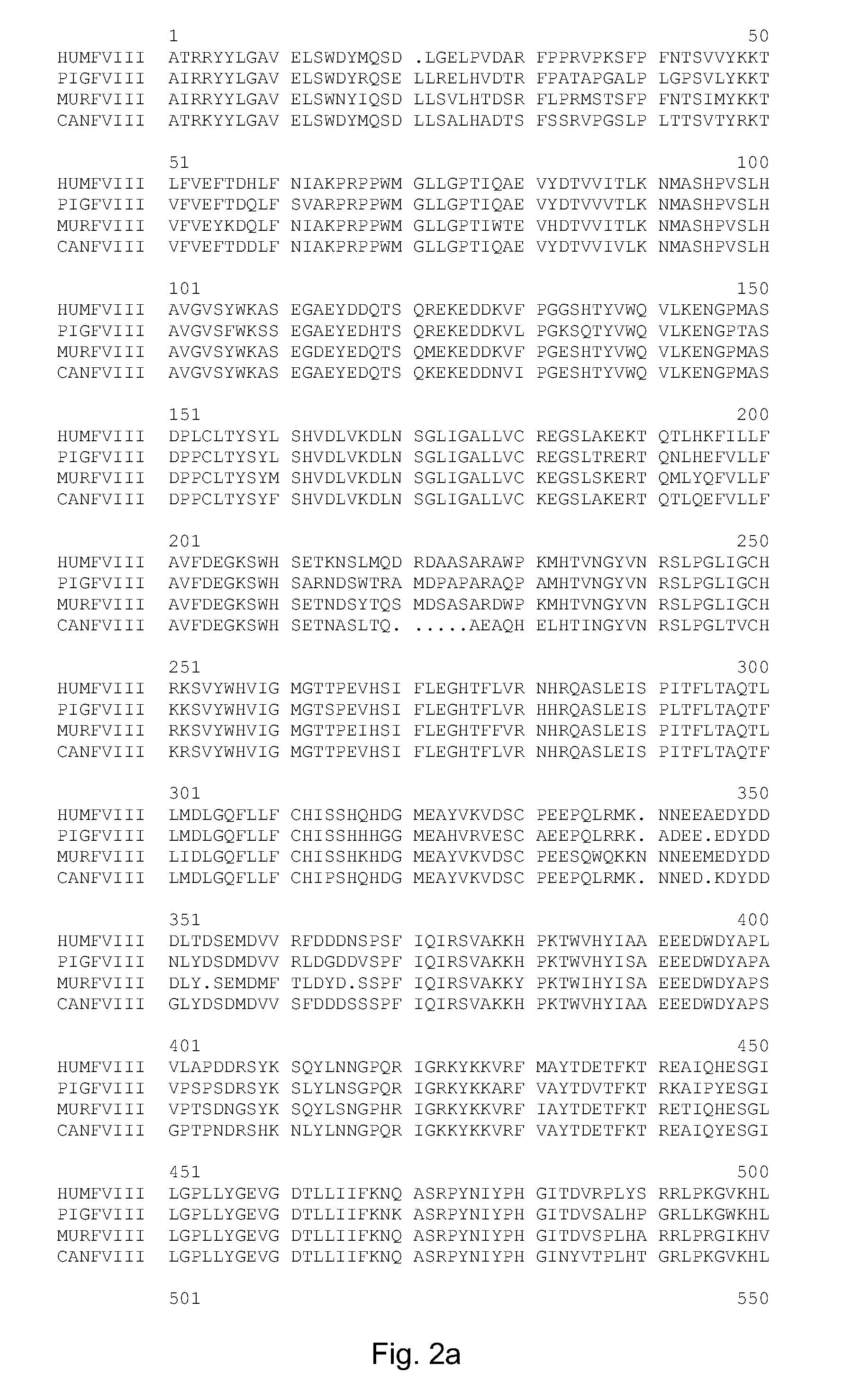 Variant of antihemophilic factor VIII having increased specific activity