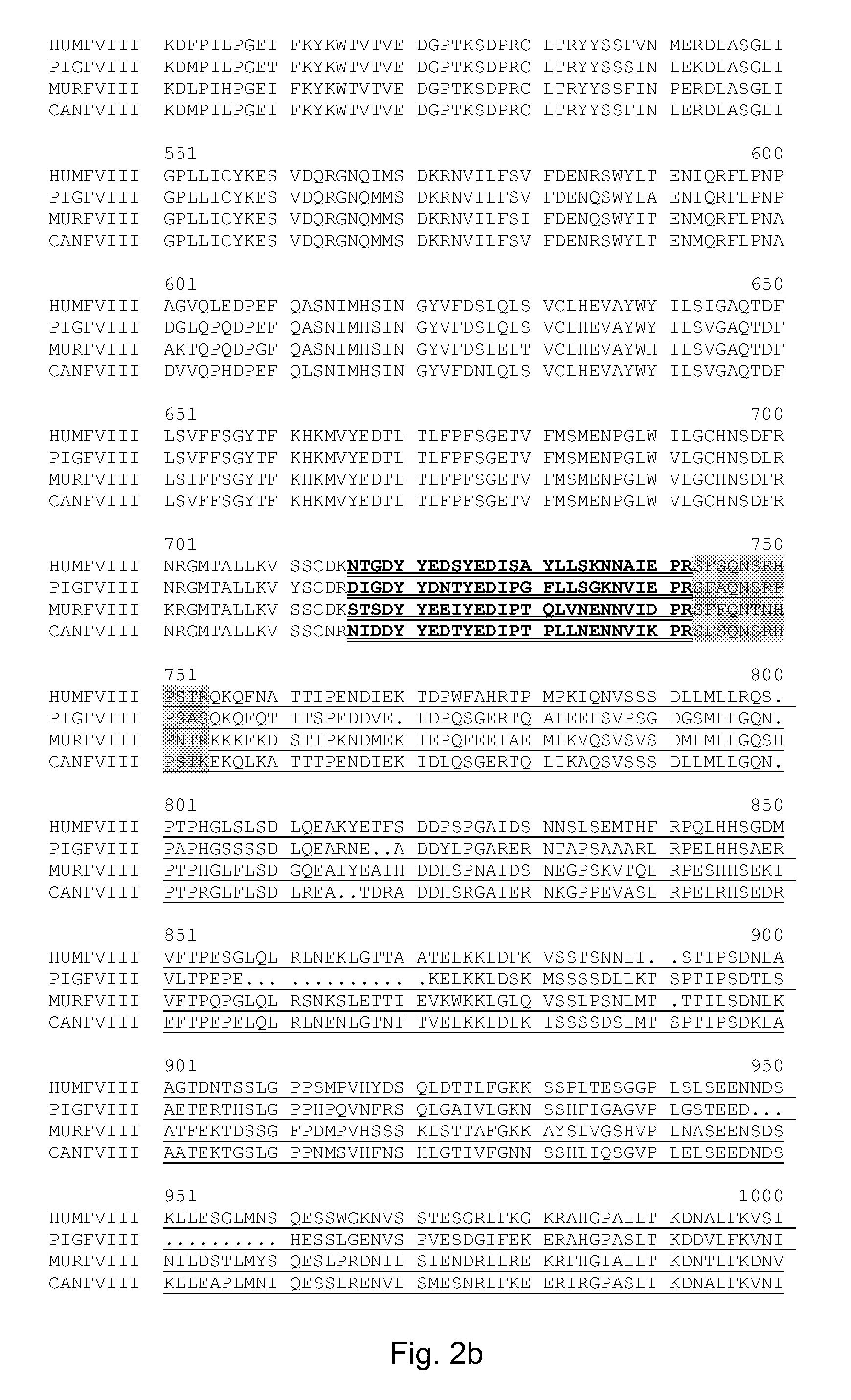 Variant of antihemophilic factor VIII having increased specific activity