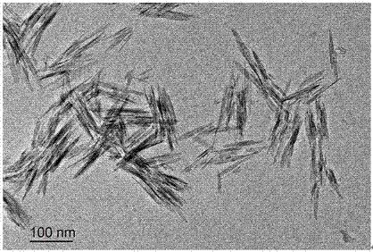 A process for preparing cellulose nanocrystal dispersion based on controllable dissolution
