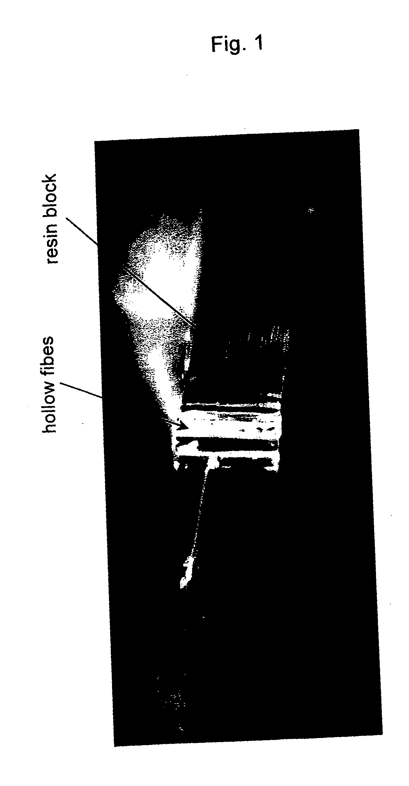 Micro-array of organism-associated substance