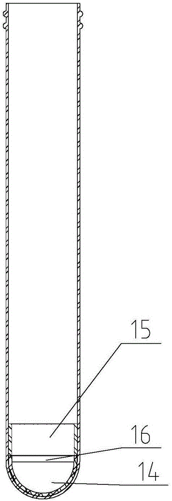 Disposable intestinal tumor screening detection cannula