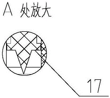 Disposable intestinal tumor screening detection cannula