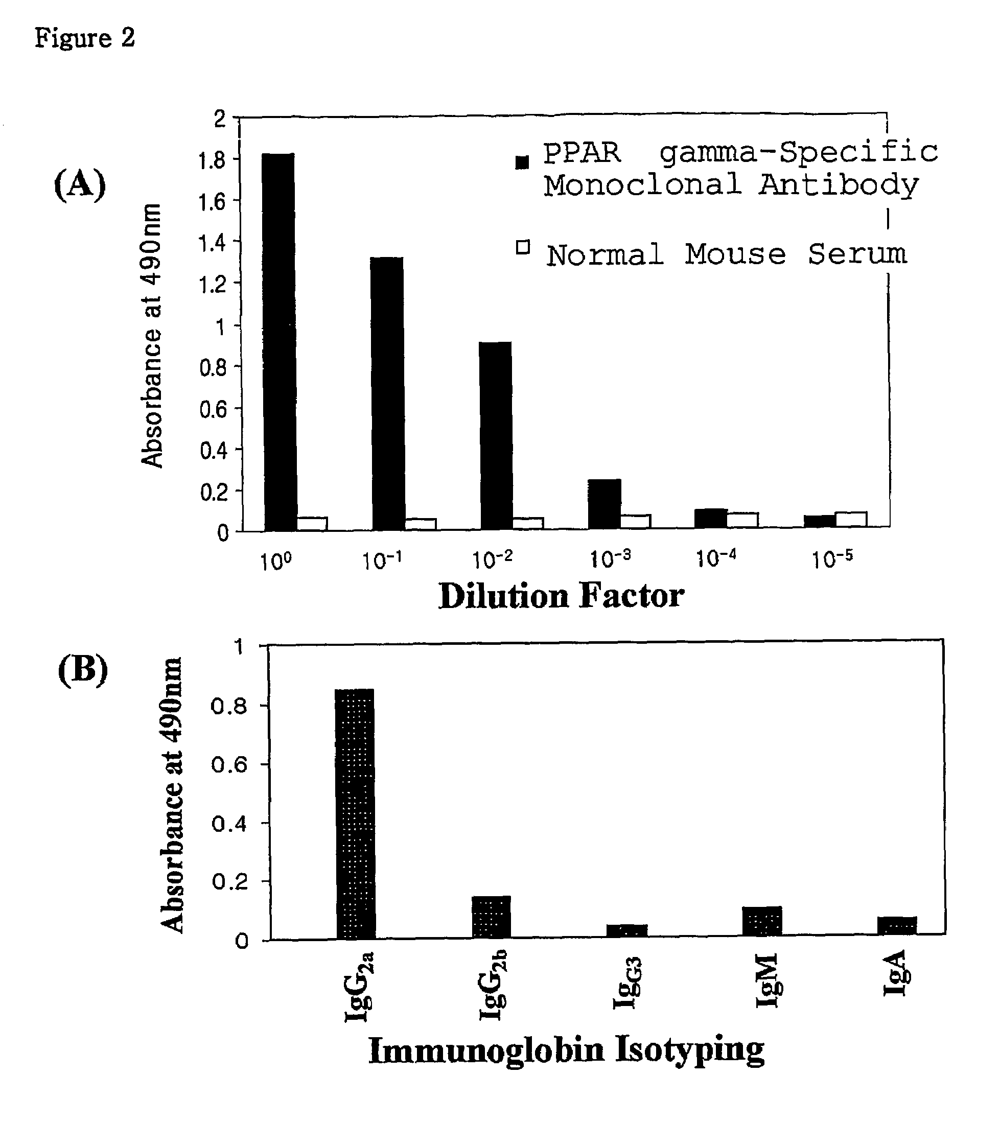 Monoclonal antibody specific for PPAR gamma, hydridoma cell line producing the same, and method for detecting regulator related to diseases, including inflammation, cancer and metabolic diseases, using the same