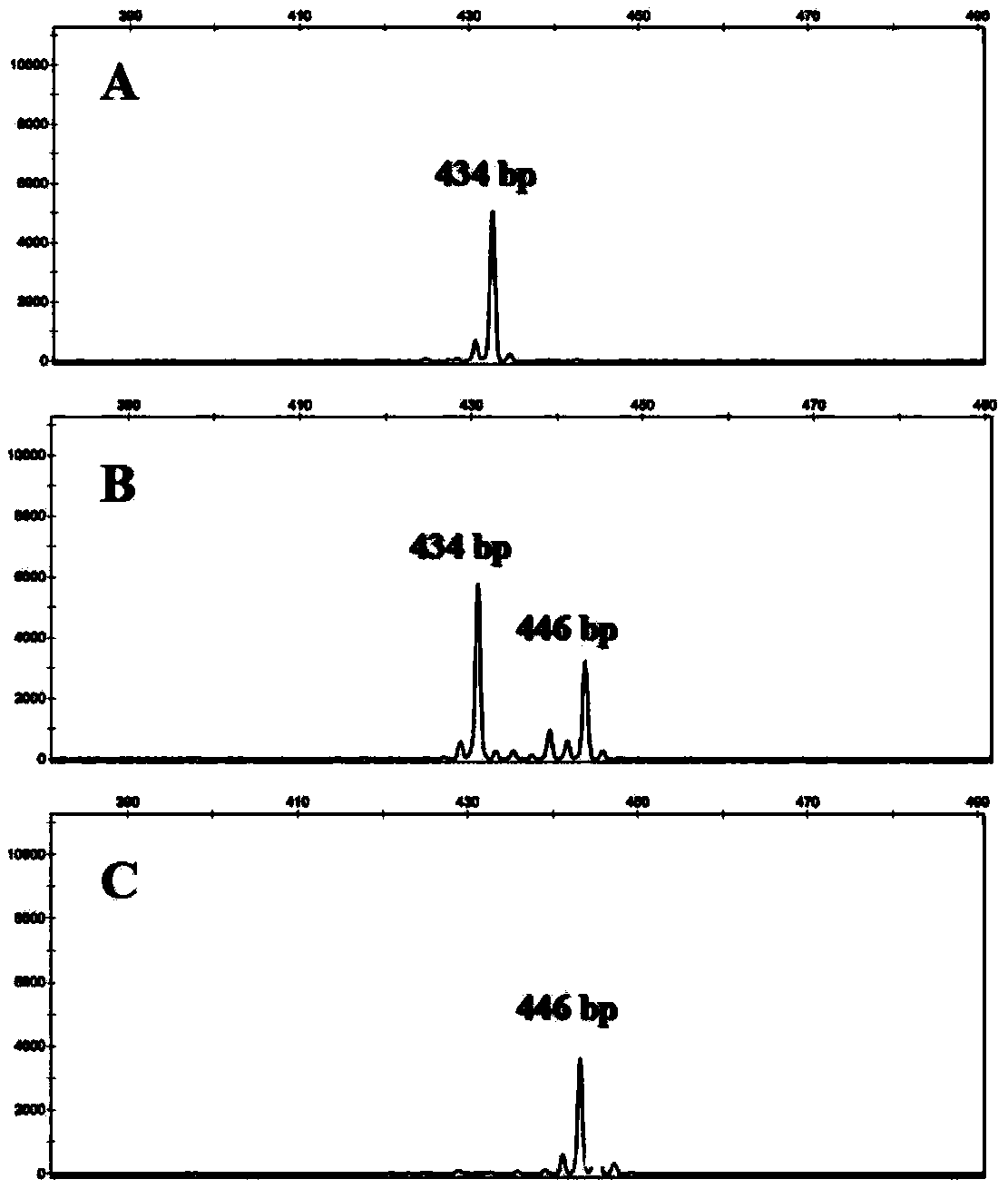 Method for simply and rapidly detecting easy-to-blossom litchi germplasm resources