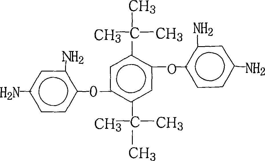Process for producing 1,4-(2,4-diaminophenyloxy)-2,5-di-t-butyl benzene