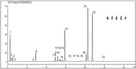 Method for constructing finger-print chromatogram for ginsenosides-containing crude drugs and preparations