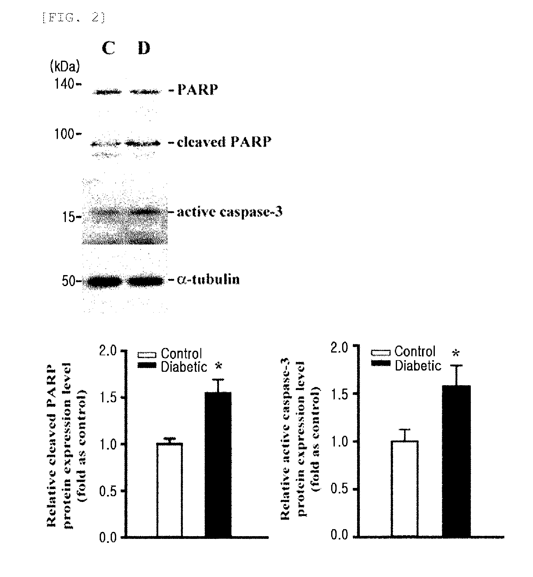 Recombinant adenovirus expressing alpha-a-crystallin gene and gene therapy for retinalvascular disease using the same