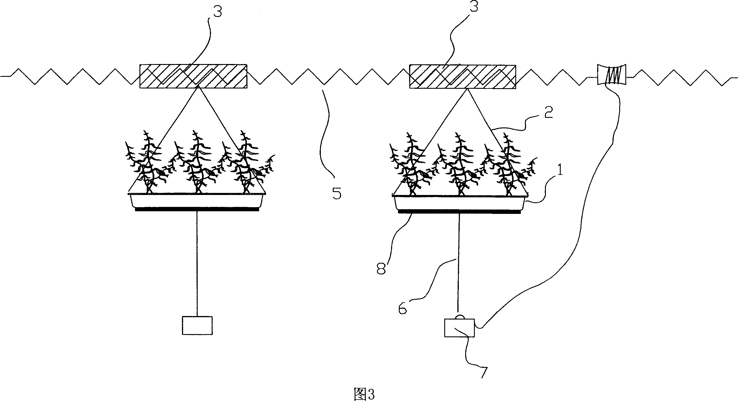 Method and device for treating water by semi-floating type carrier-planting submergent plant