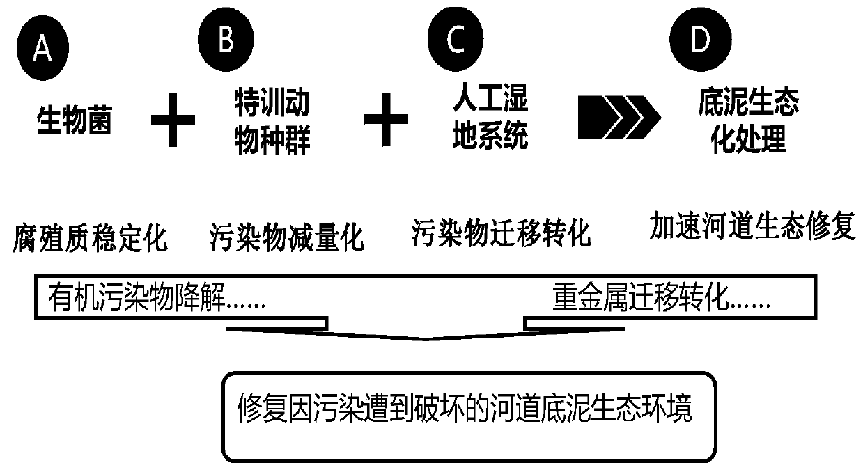 Method for treating bottom mud in water by combining biological population with artificial wetland