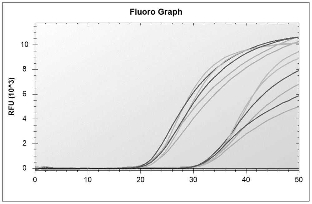 Multiple primers and kits for rapid detection of influenza A, influenza B and novel coronavirus