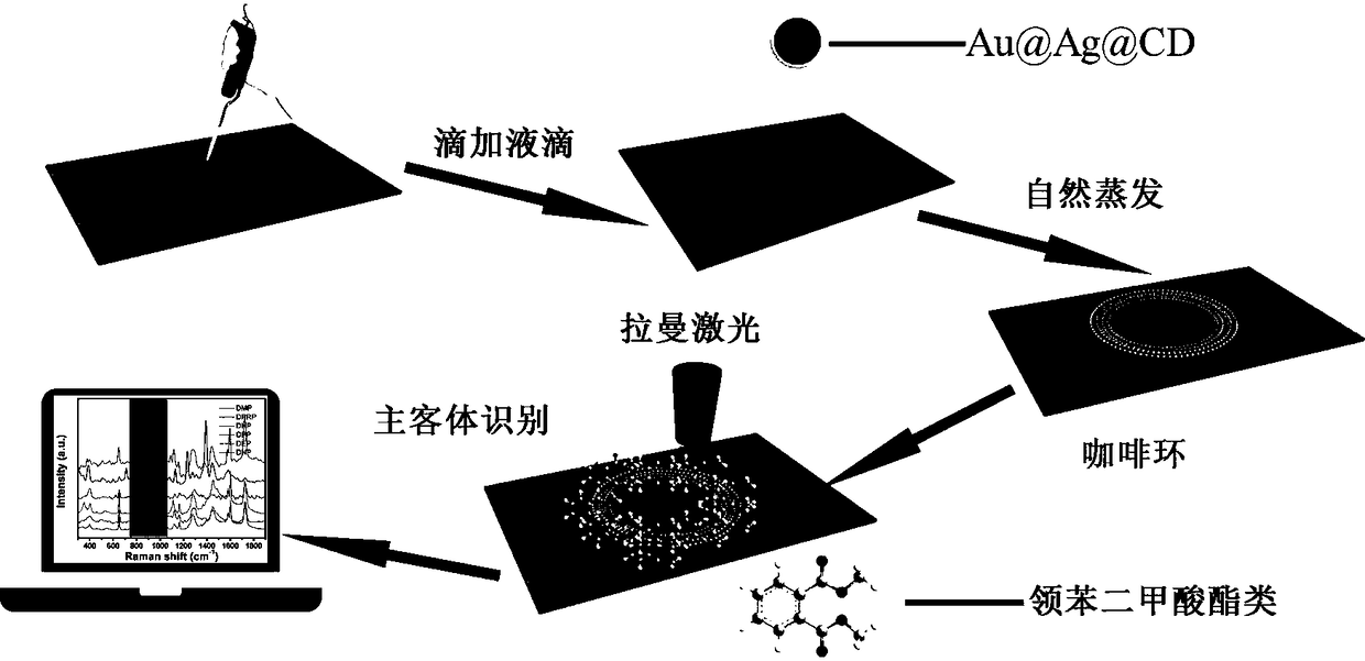 Detection method of plasticizer phthalate based on surface enhanced raman spectroscopy