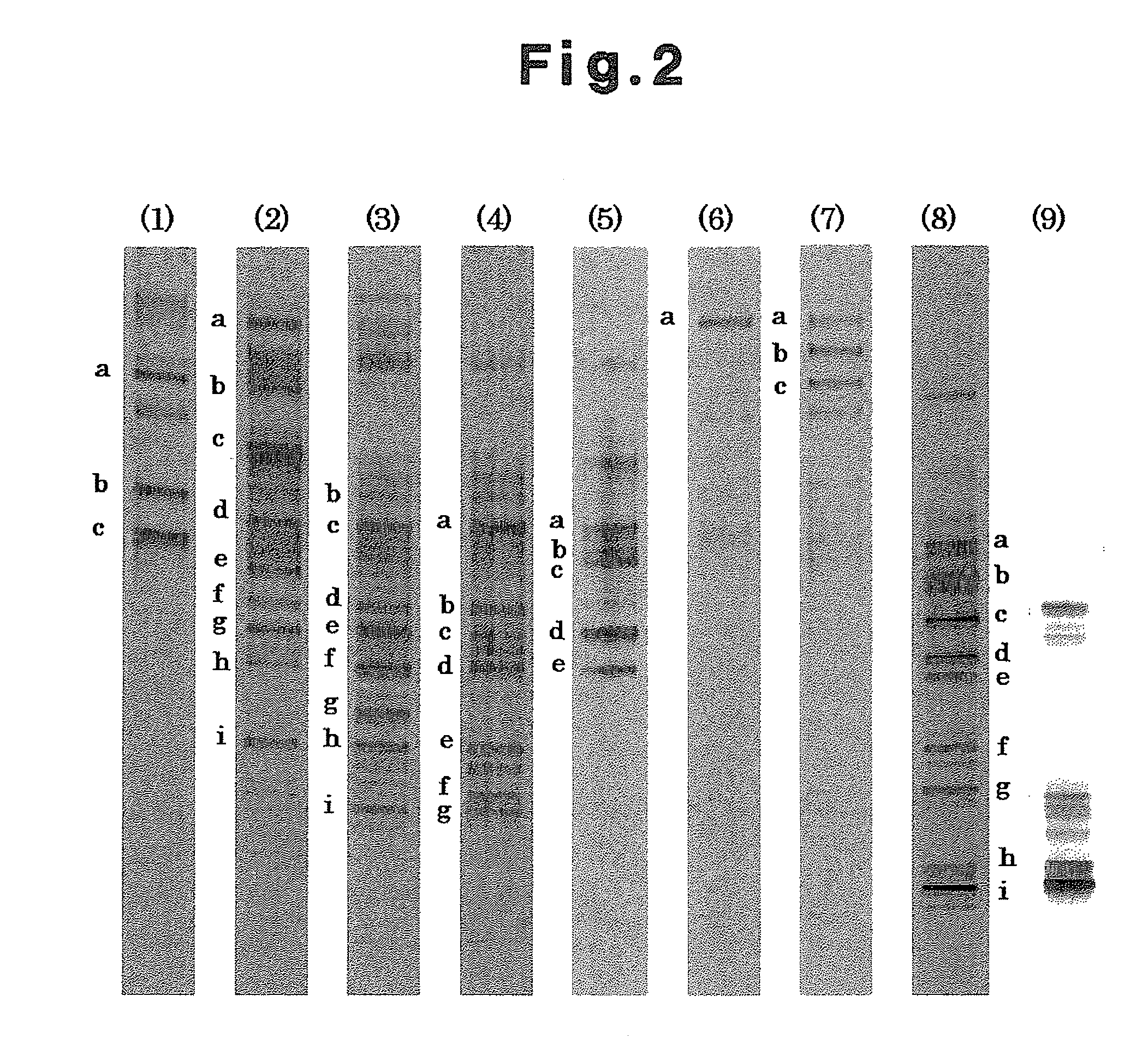 Method of treating biomass, compost, mulching material for livestock and agent for treating biomass