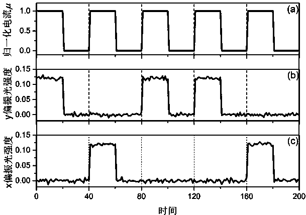 A True Random Password Generator Based on Vertical Cavity Surface Emitting Laser