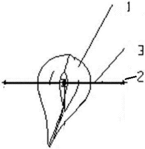 Forked type blade with multiple auxiliary wings