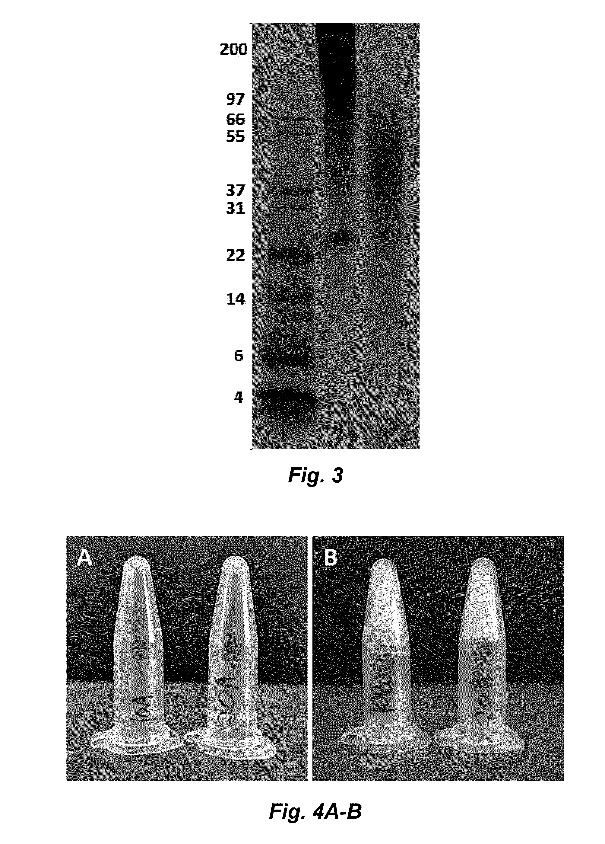 Fibroin-derived protein composition