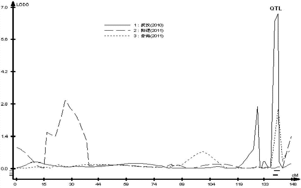 Molecular marker closely linked with oil content character of rapes and application