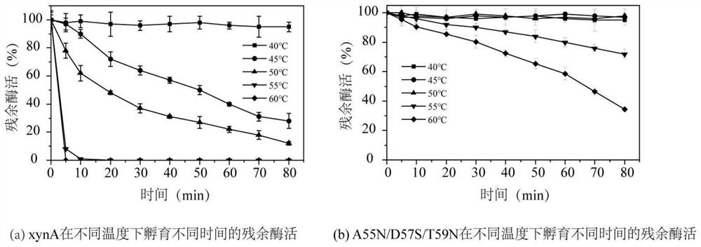 Method for improving thermal stability of aspergillus niger xylanase through N-glycosylation modification