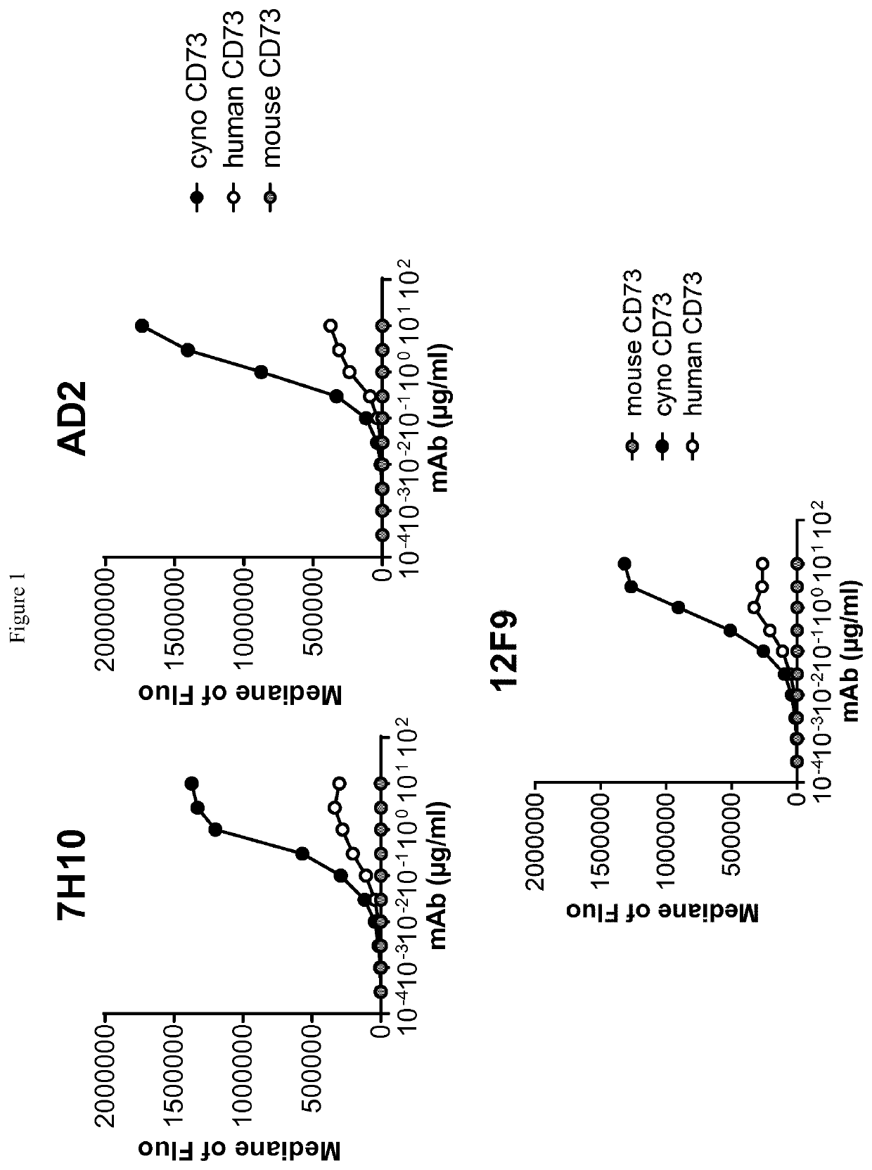 CD73 blocking agents