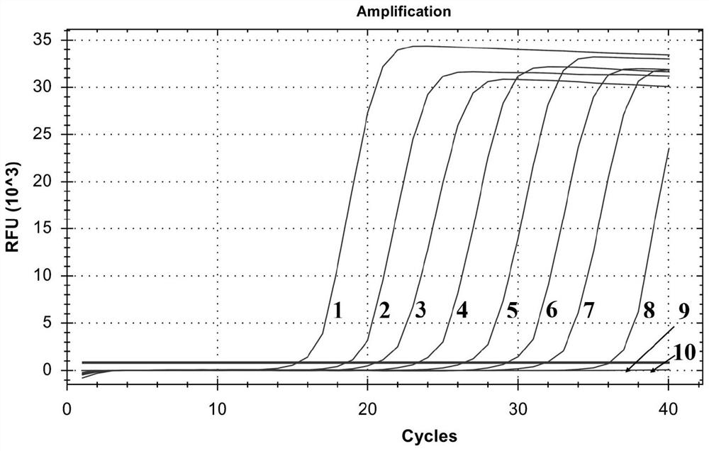 Cycleave fluorescent PCR method for detecting Lumpy Skin Disease (LSD)