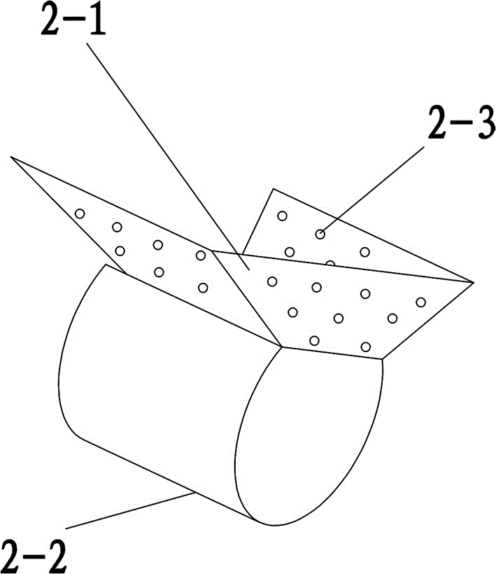 Method and system for slope greening based on anchor hole