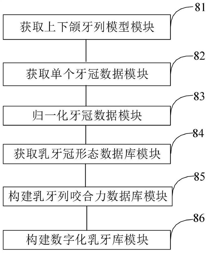 Method and system for constructing deciduous tooth crown physiological database