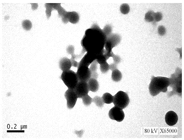 Self-assembly system based on hydrophilic polymer and medicine and preparation method thereof