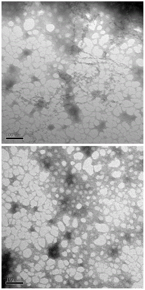 ALV-J P-miRNA-env recombinant plasmid nano-composite based on chitosan encapsulation and preparing method and application thereof