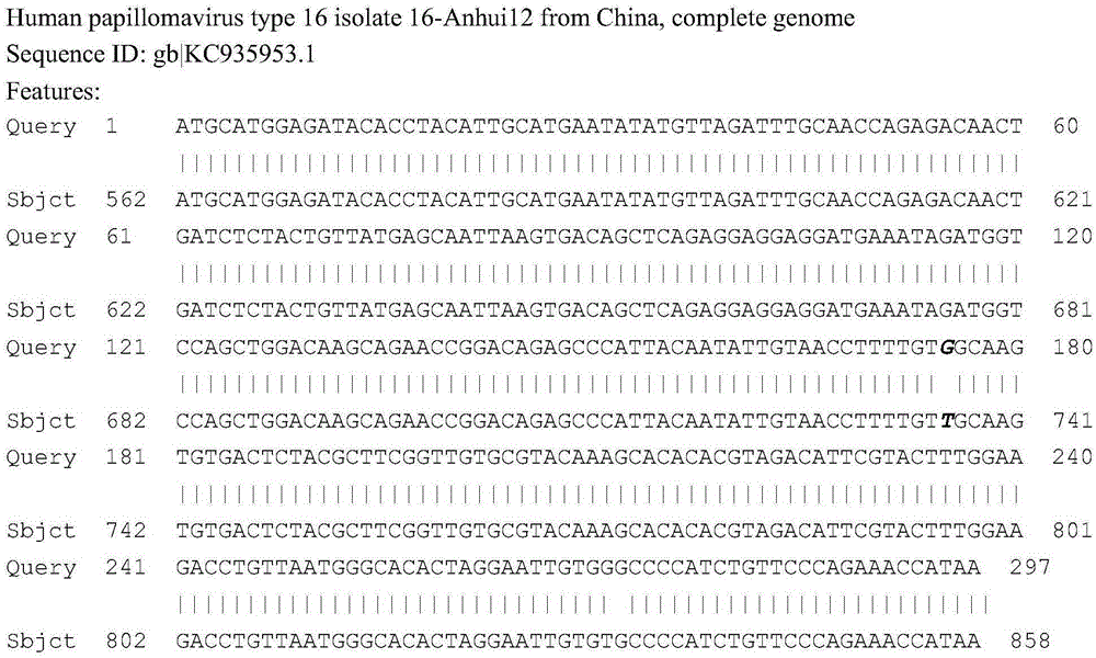 Recombinant adeno-associated viral vector with human papillomavirus type 16 multi-point mutant E7&lt;mm&gt; antigen genes, method for constructing recombinant adeno-associated viral vector and application thereof