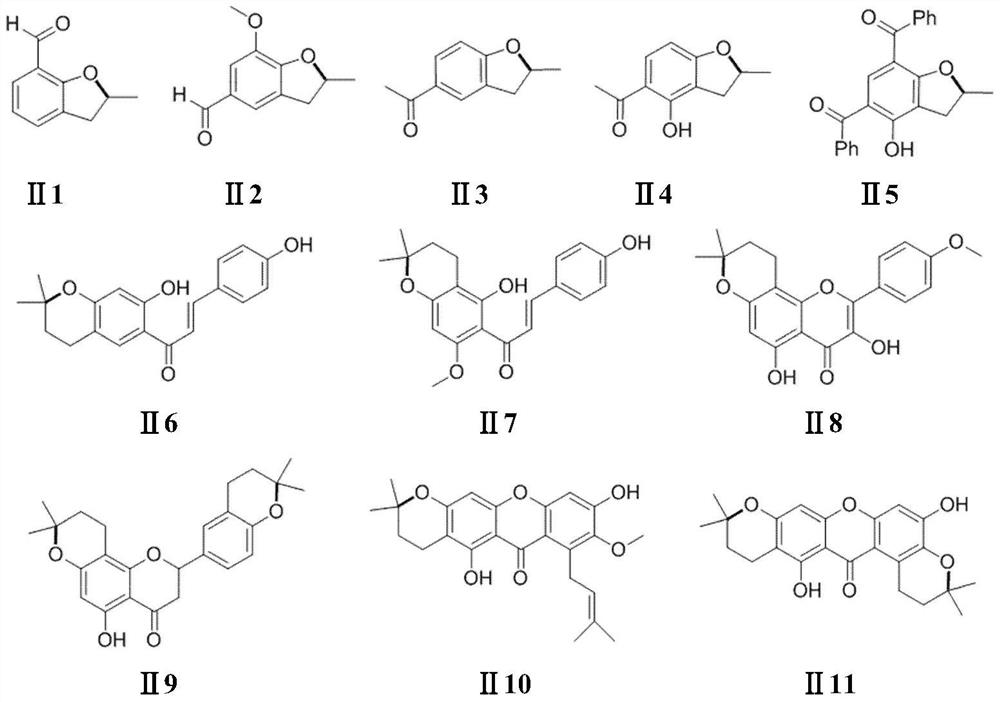 Synthesis method of carbonyl-substituted benzodihydrofuran and benzodihydropyran compound