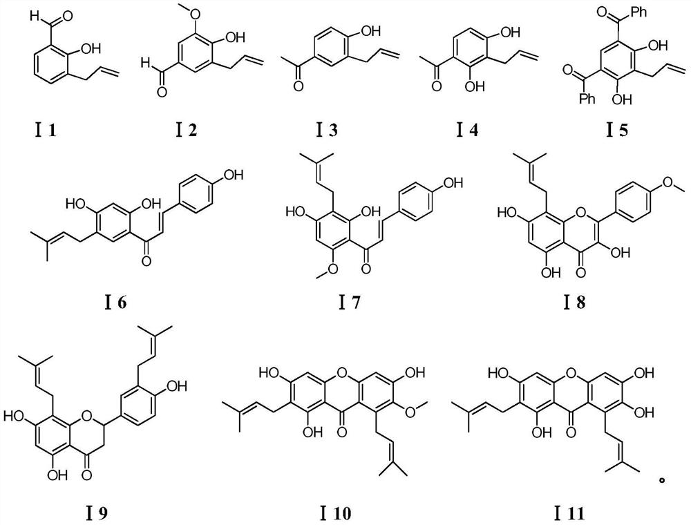 Synthesis method of carbonyl-substituted benzodihydrofuran and benzodihydropyran compound