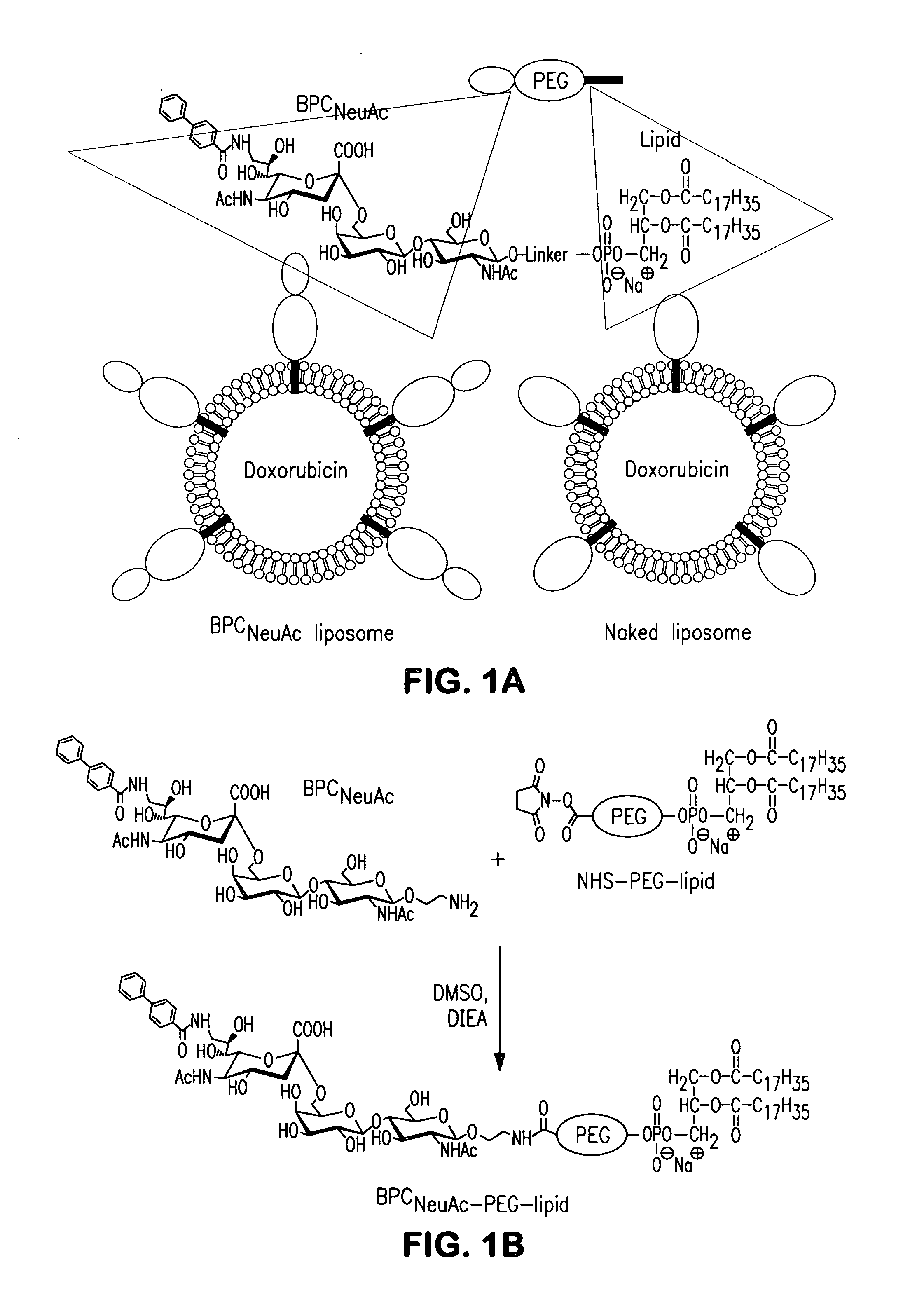 Liposome targeting compounds and related uses