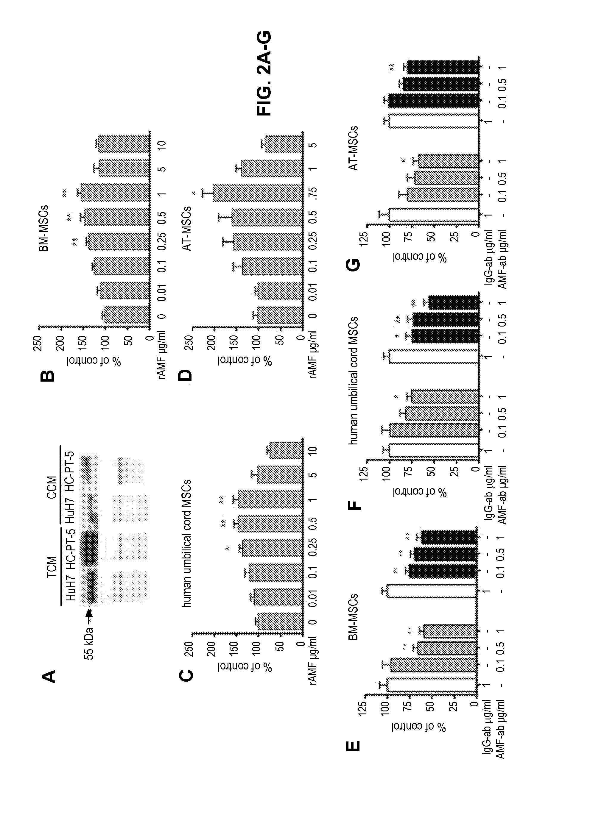 Compositions and methods for increasing mesenchymal stromal cell migration to tumors