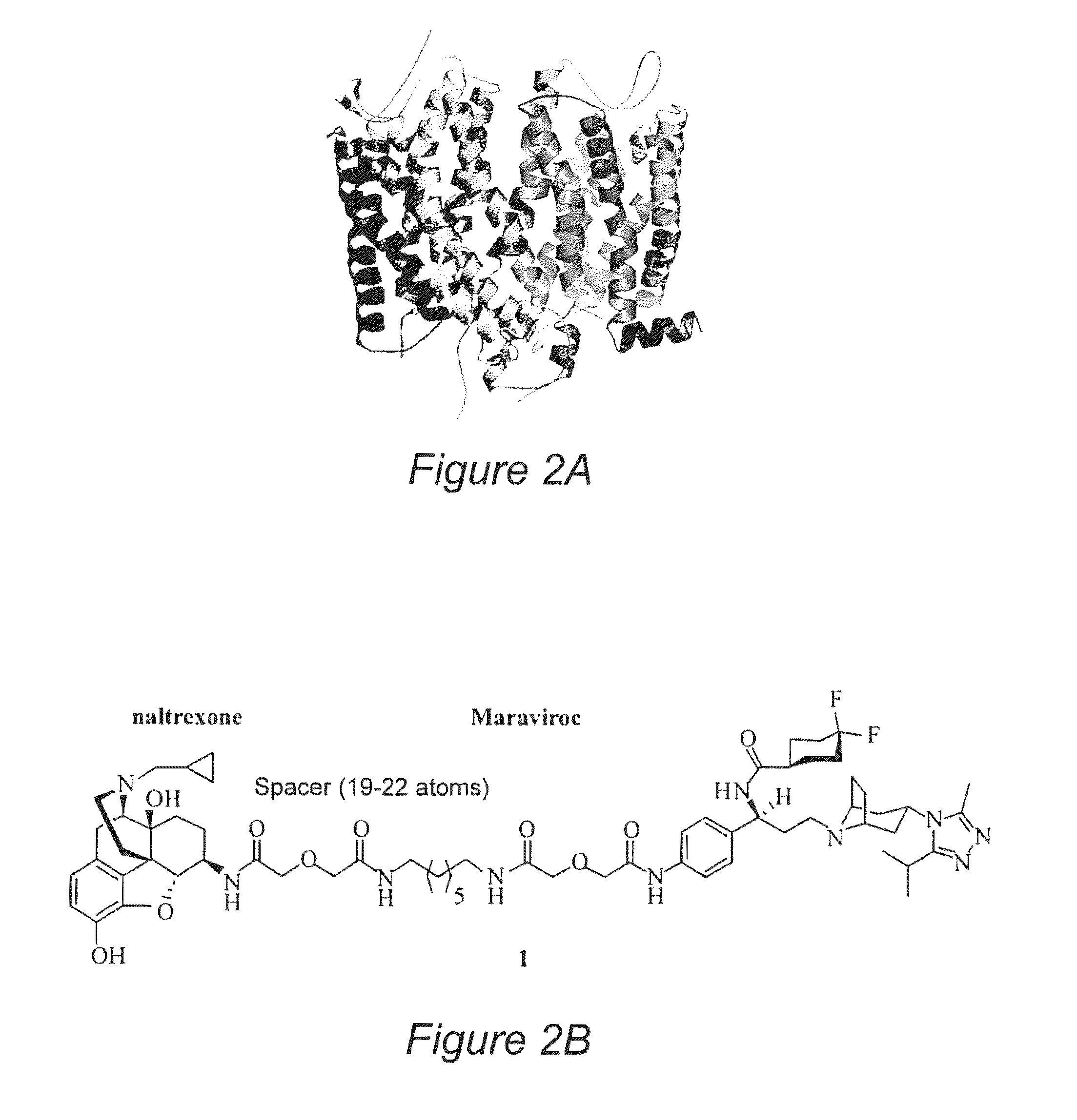 Bivalent ligands for the treatment of neurological disorders