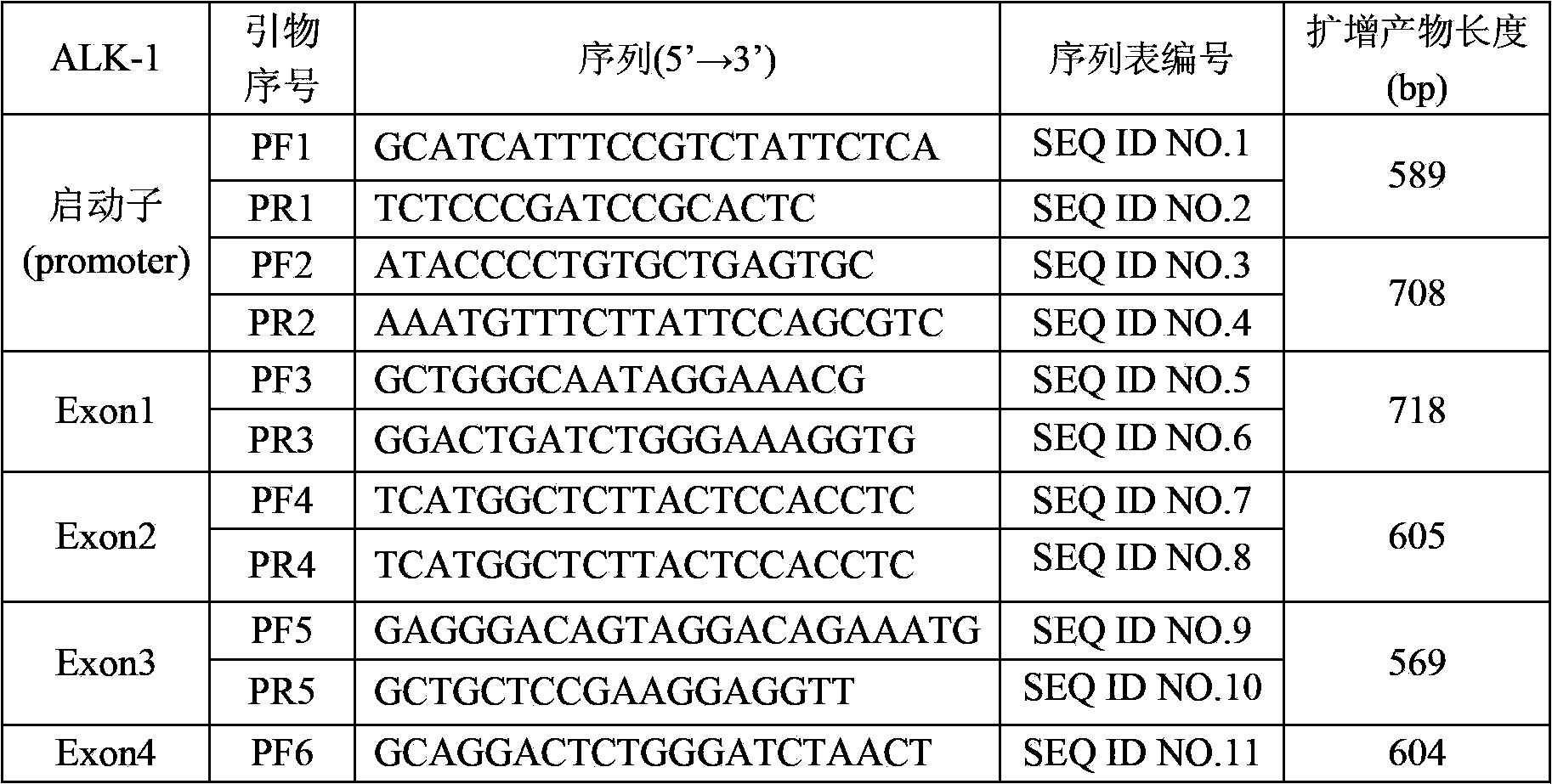 Primer group for detecting ALK-1 (activin receptor type II-like kinase-1) gene mutation, and application thereof as well as kit comprising primer group