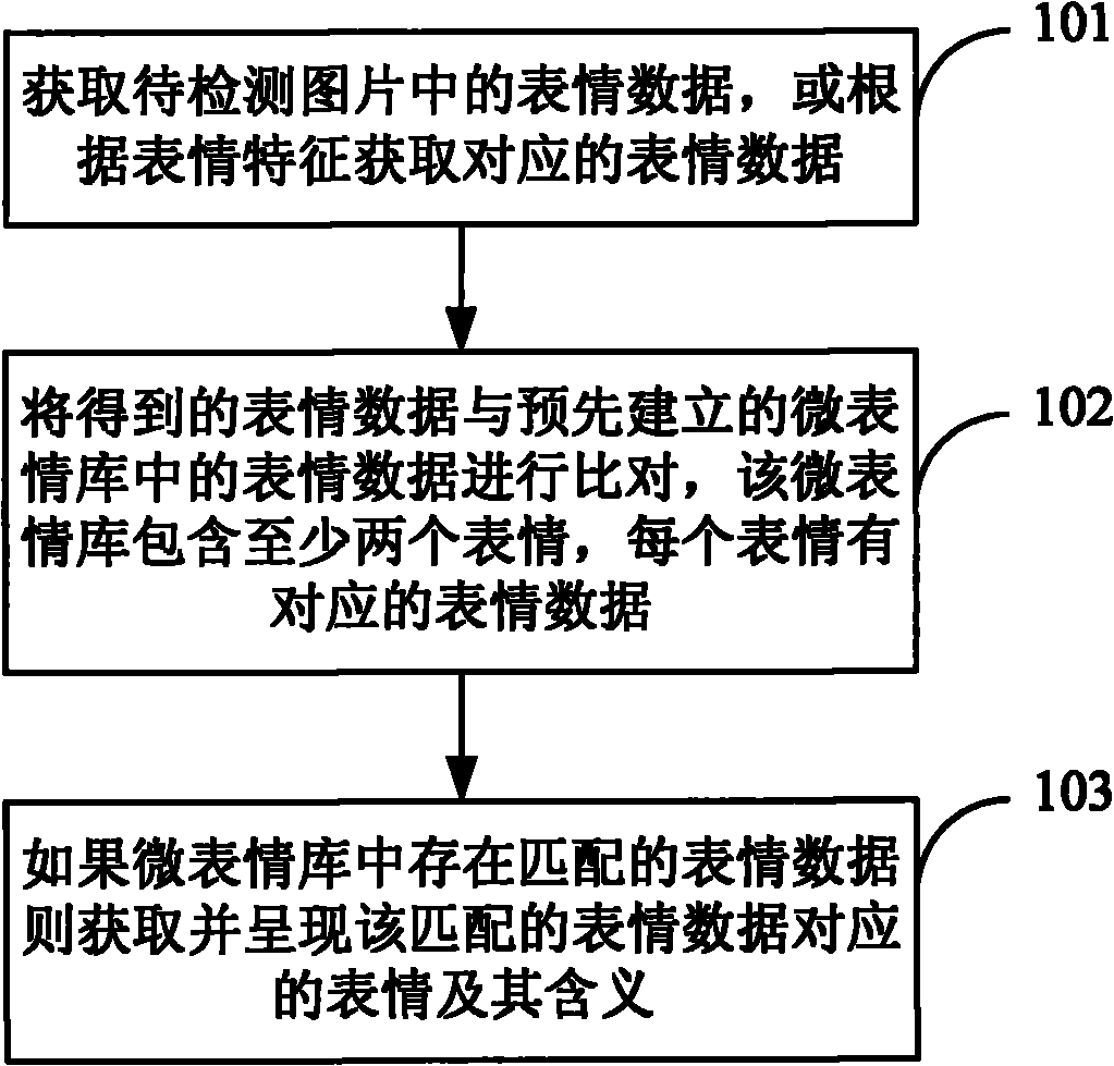 Method and device for acquiring expression meanings