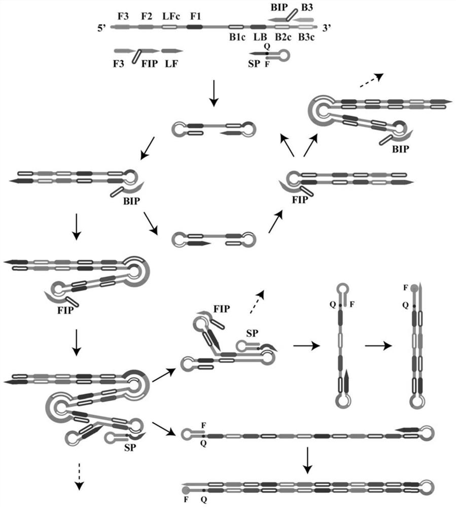 Method for detecting multiple target nucleic acids, a kit and application thereof