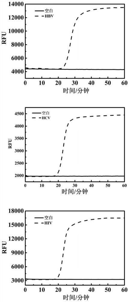 Method for detecting multiple target nucleic acids, a kit and application thereof