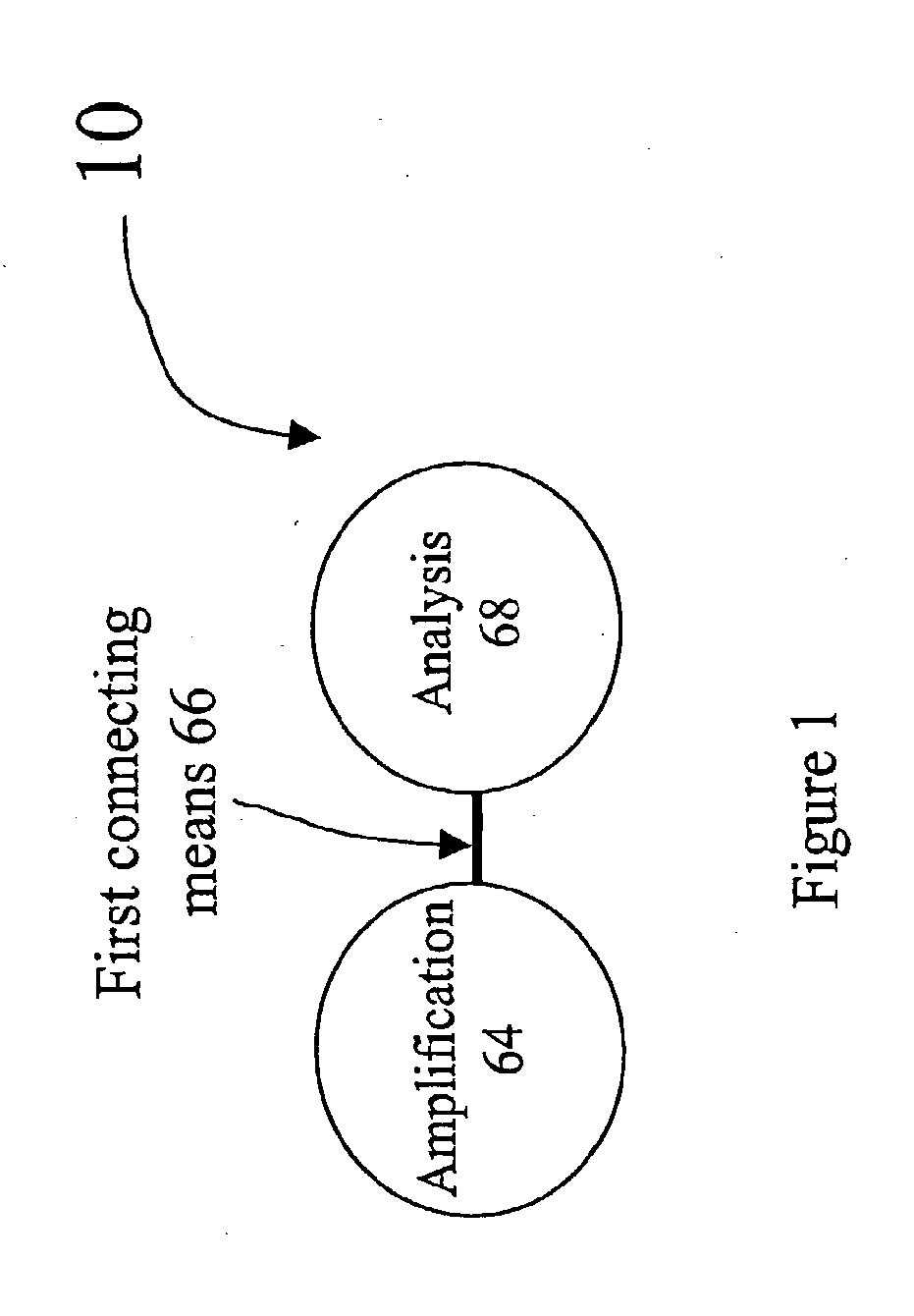 Apparatus for polynucleotide detection and quantitation