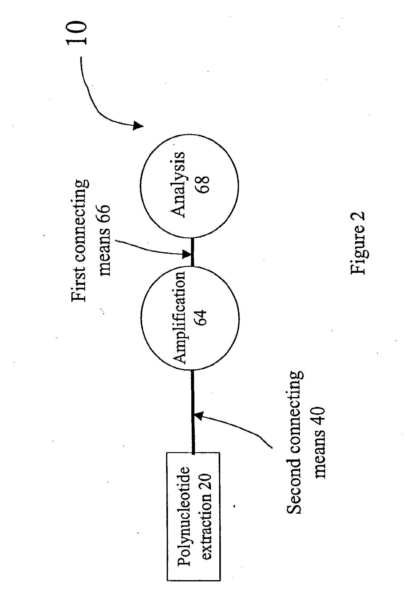 Apparatus for polynucleotide detection and quantitation