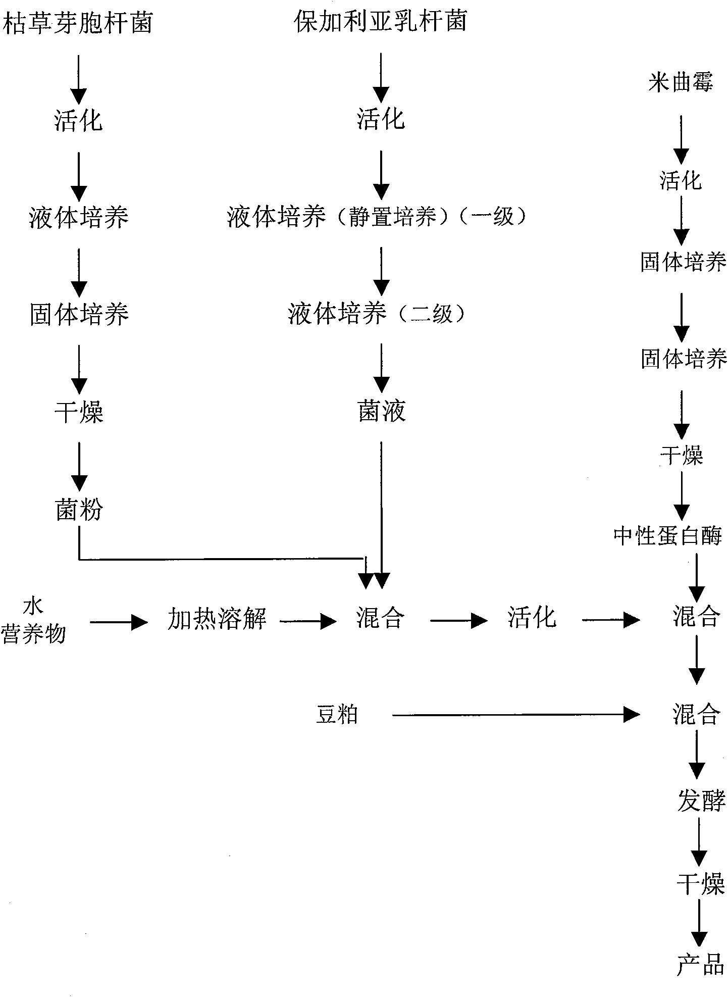 Protein forage and preparing method thereof