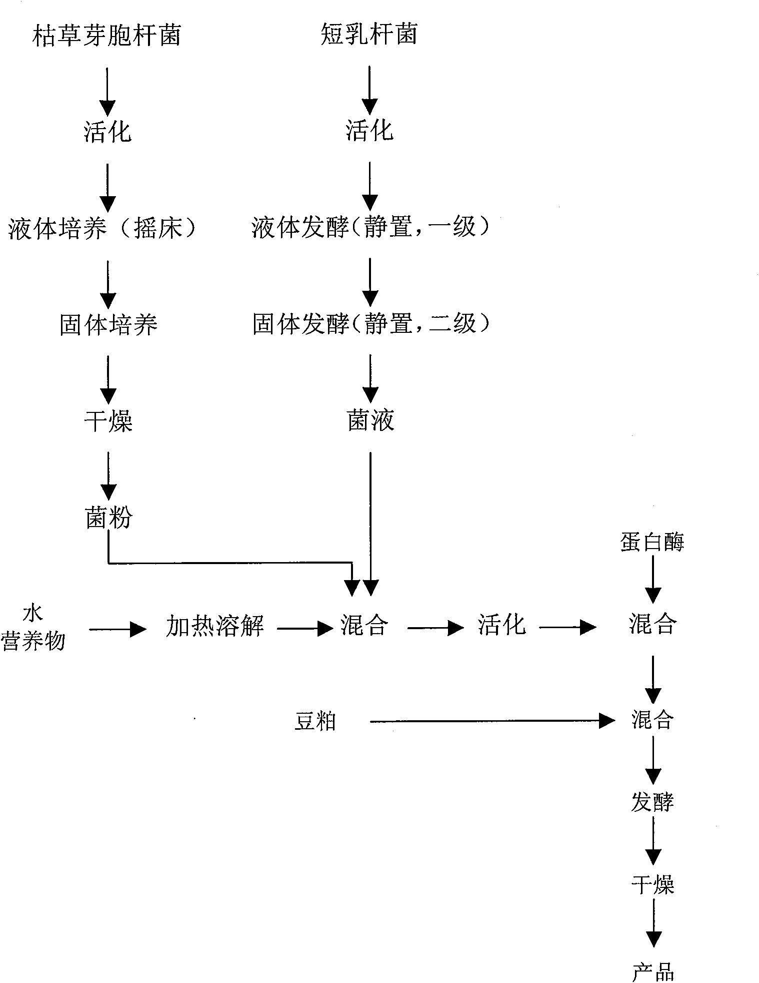 Protein forage and preparing method thereof