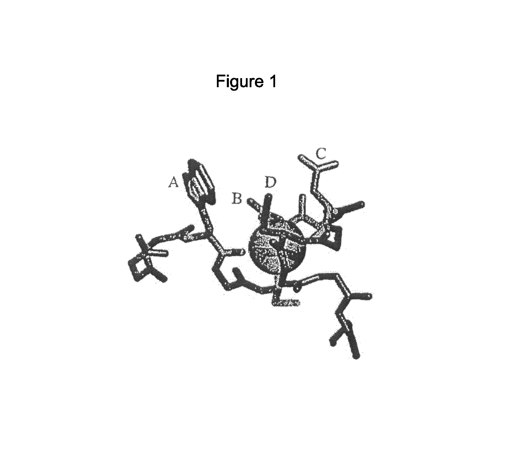 Compositions comprising receptor-associated protein (RAP) variants specific for CR-containing proteins and uses thereof
