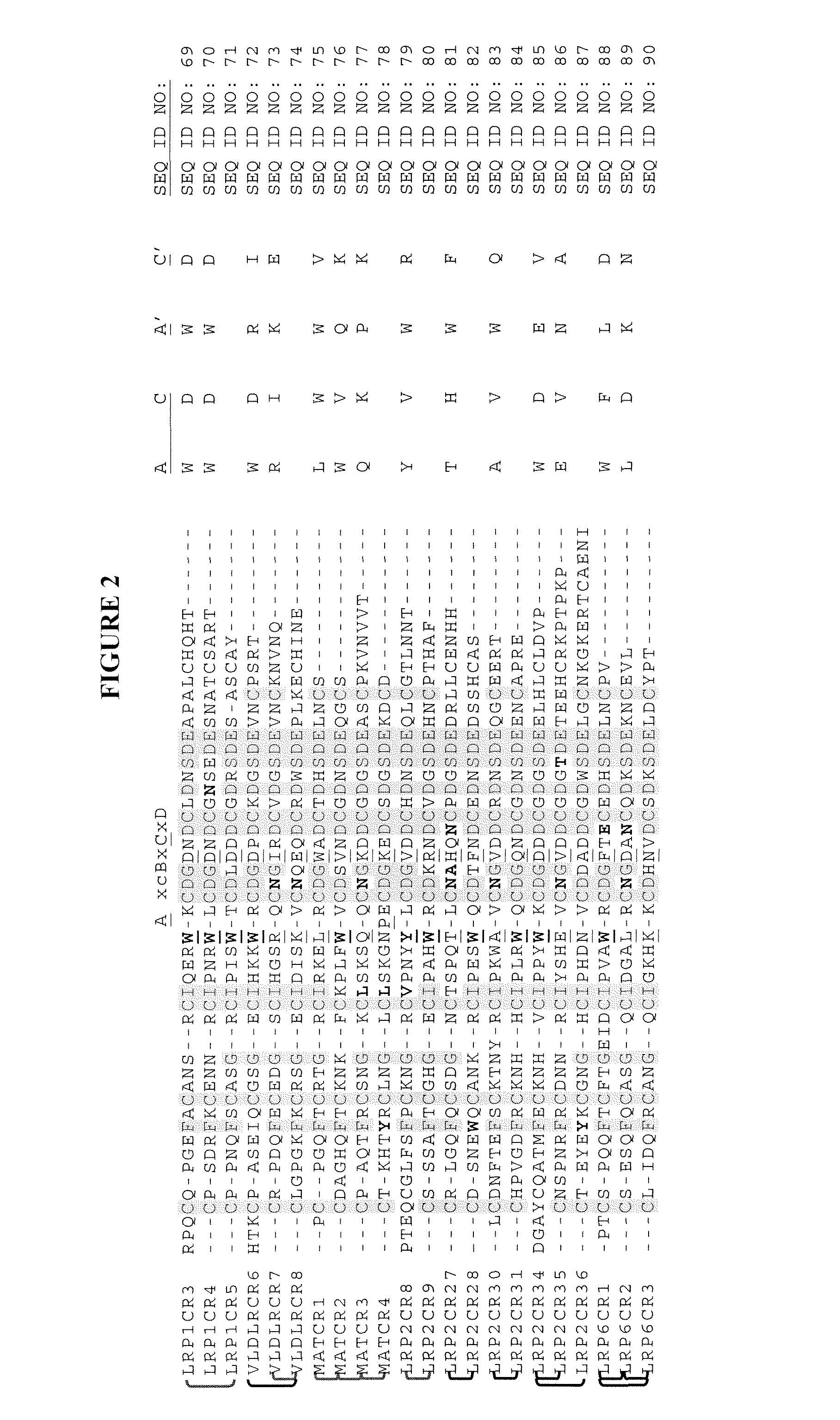 Compositions comprising receptor-associated protein (RAP) variants specific for CR-containing proteins and uses thereof