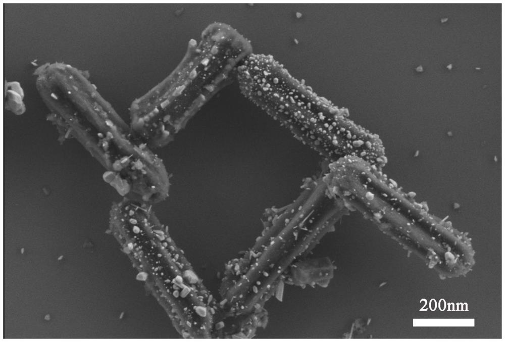 A kind of negative electrode material of sodium ion battery and preparation method thereof