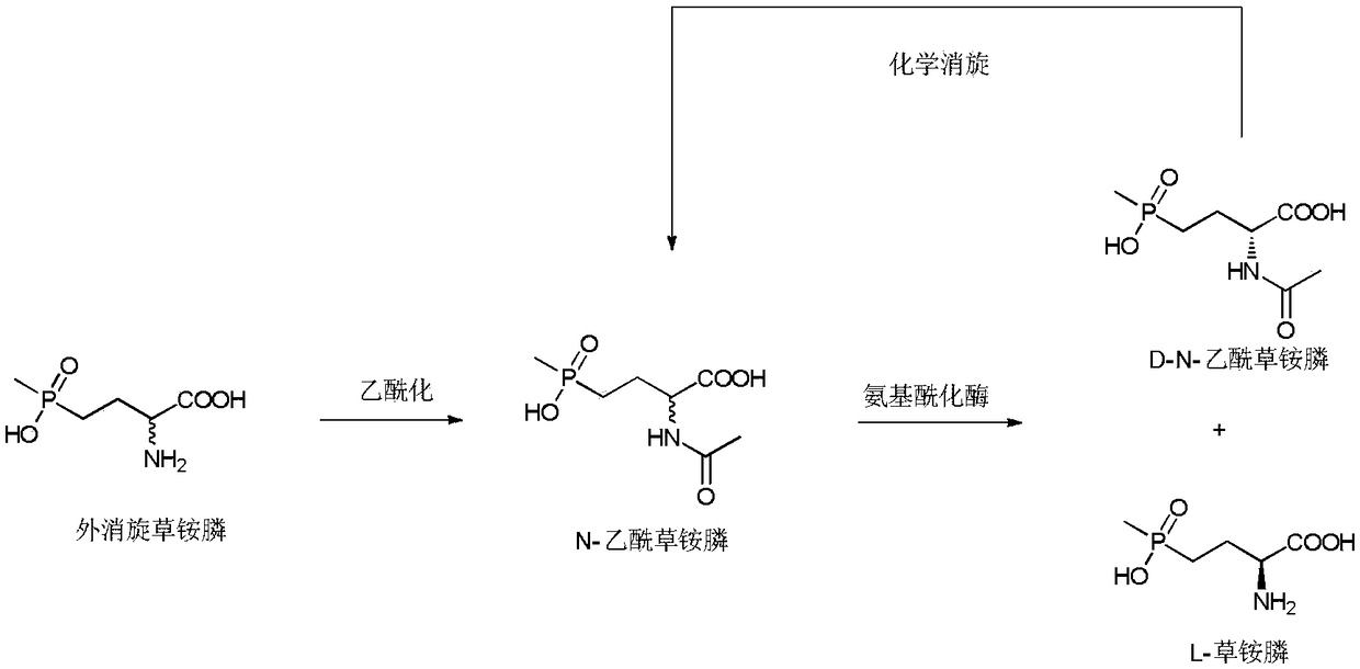 Method of utilizing chemistry-enzyme method to produce L-glufosinate ammonium